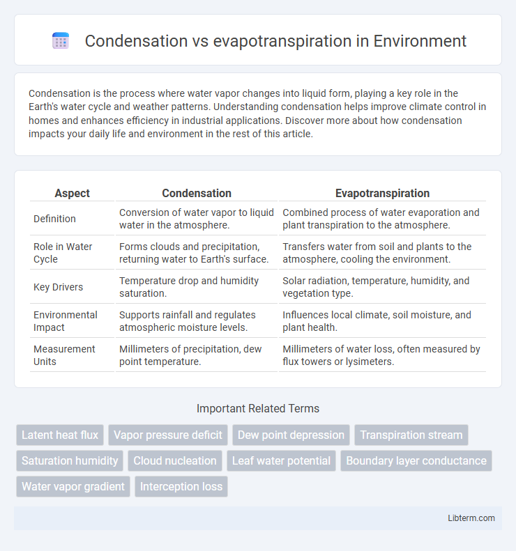 evapotranspiration vs Condensation in Environment - What is The Difference?