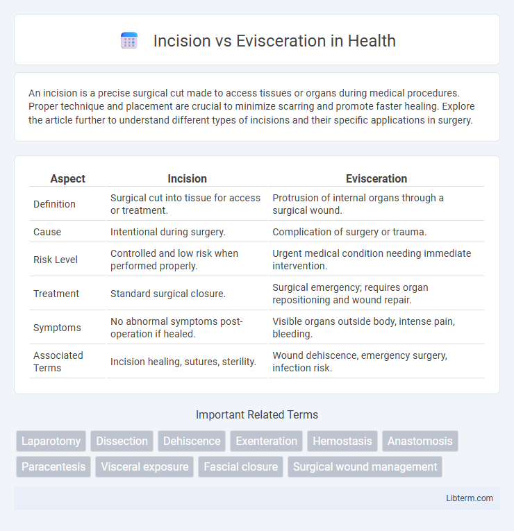 Evisceration vs Incision in Health - What is The Difference?