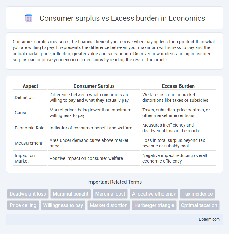 Excess burden vs Consumer surplus in Economics - What is The Difference?