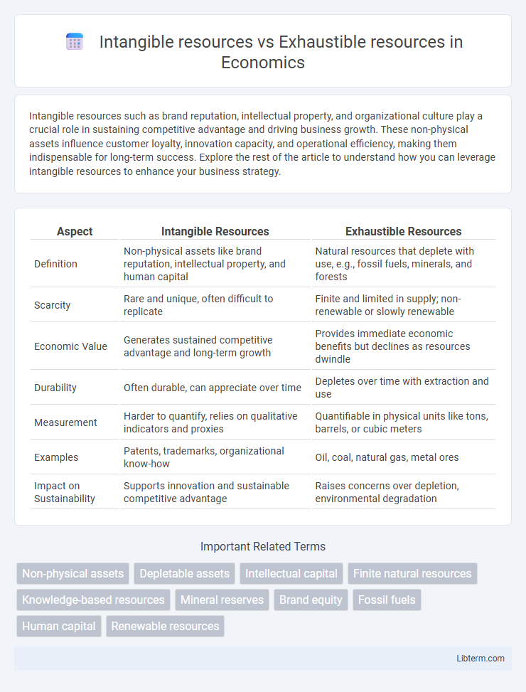Exhaustible resources vs Intangible resources in Economics - What is The Difference?