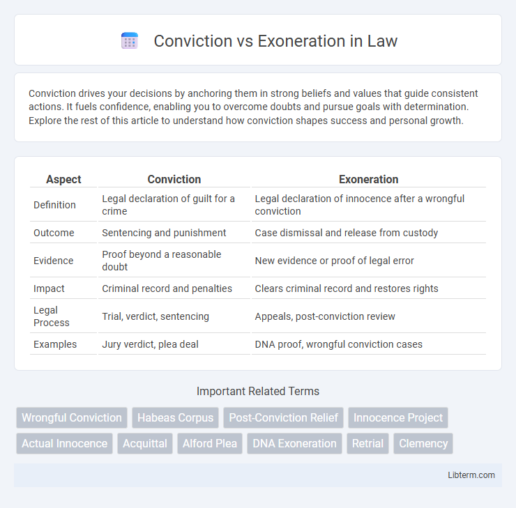 Exoneration vs Conviction in Law - What is The Difference?