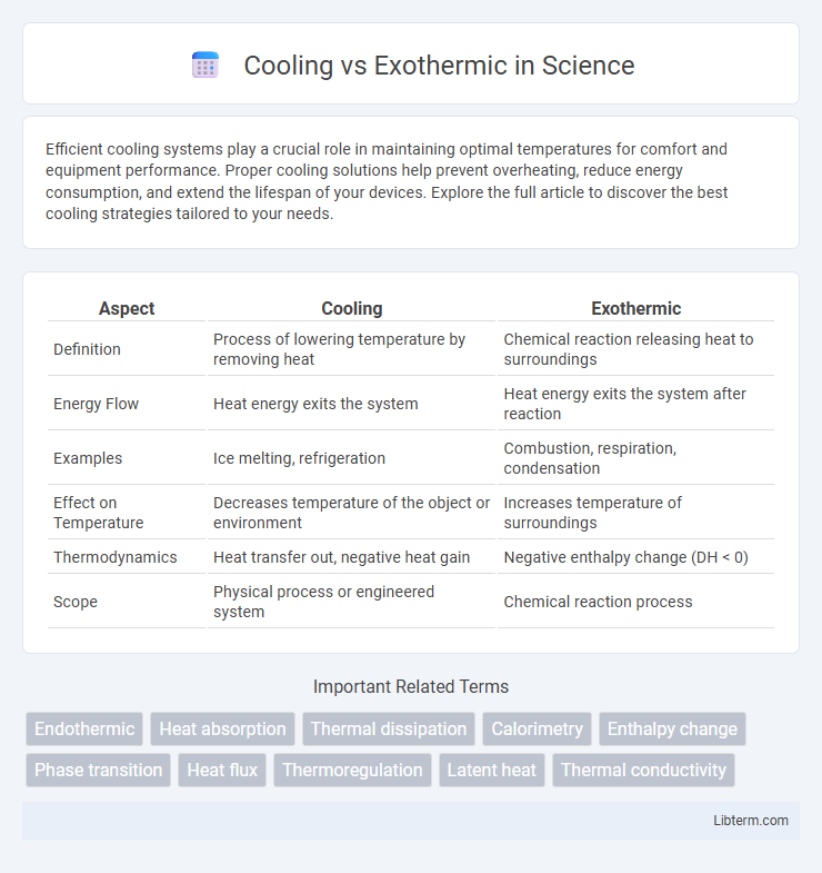 Exothermic vs Cooling in Science - What is The Difference?