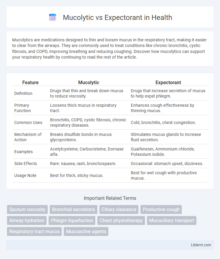 Expectorant vs Mucolytic in Health - What is The Difference?