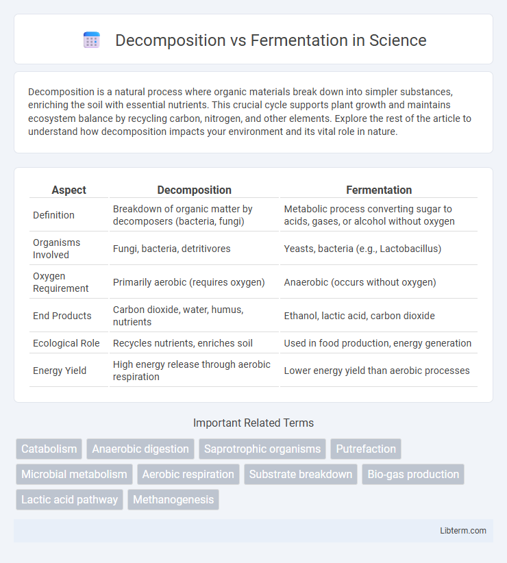 Fermentation vs Decomposition in Science - What is The Difference?