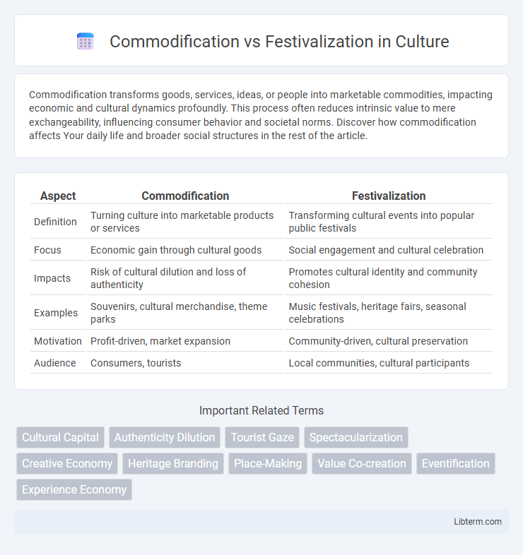 Festivalization vs Commodification in Culture - What is The Difference?