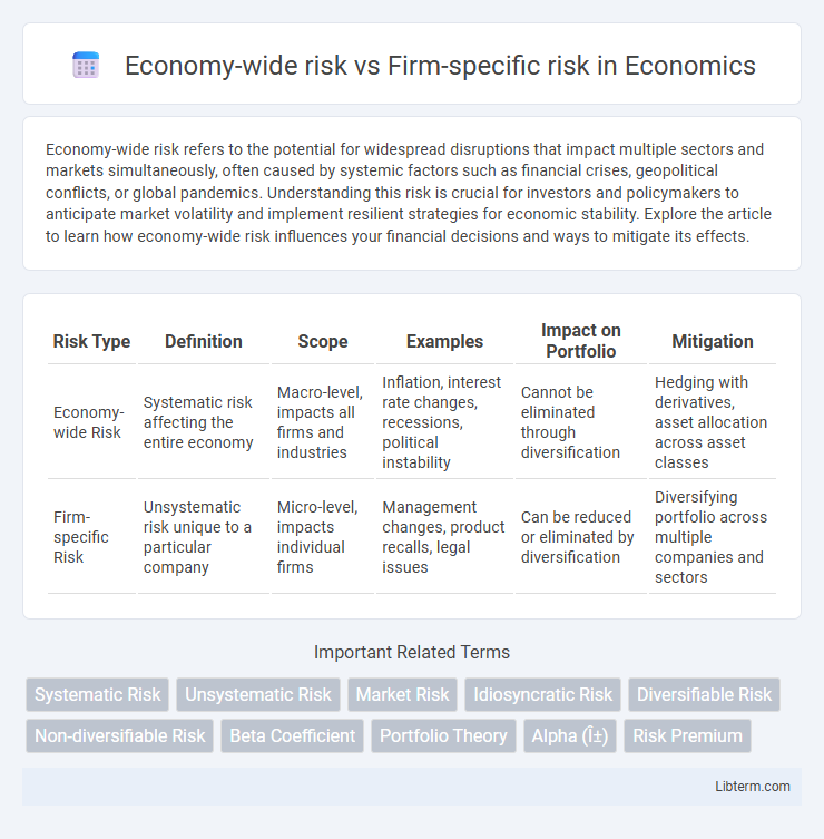 Firm-specific risk vs Economy-wide risk in Economics - What is The Difference?