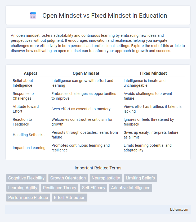 Fixed Mindset vs Open Mindset in Education - What is The Difference?