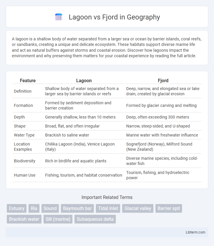 Fjord vs Lagoon in Geography - What is The Difference?