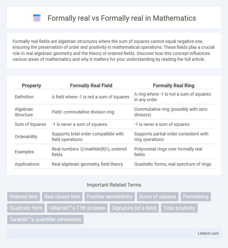 Formally real vs Formally real in Mathematics - What is The Difference?