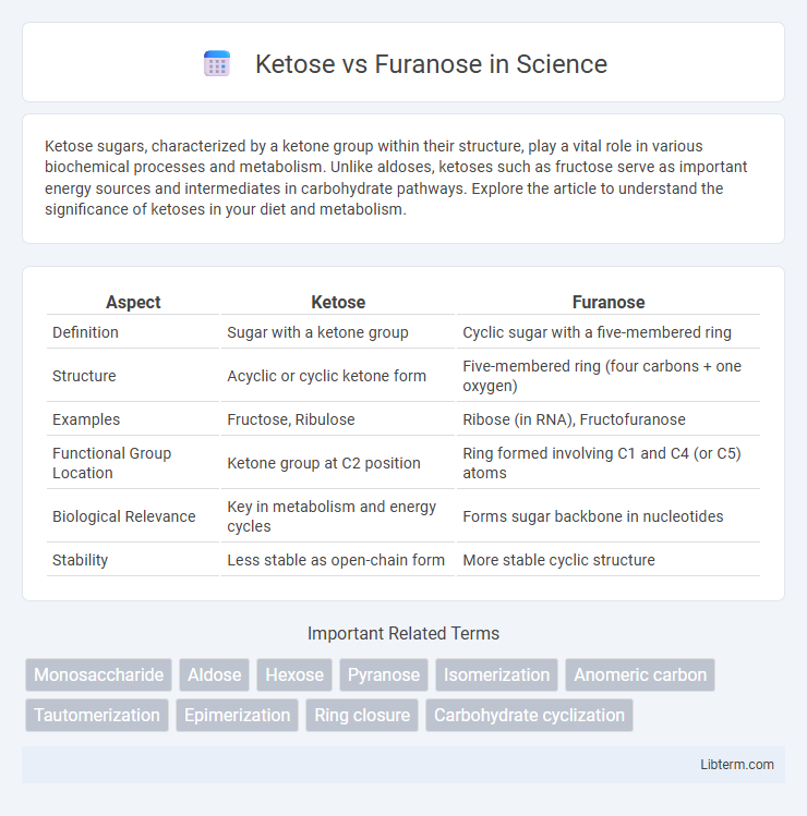 Furanose vs Ketose in Science - What is The Difference?