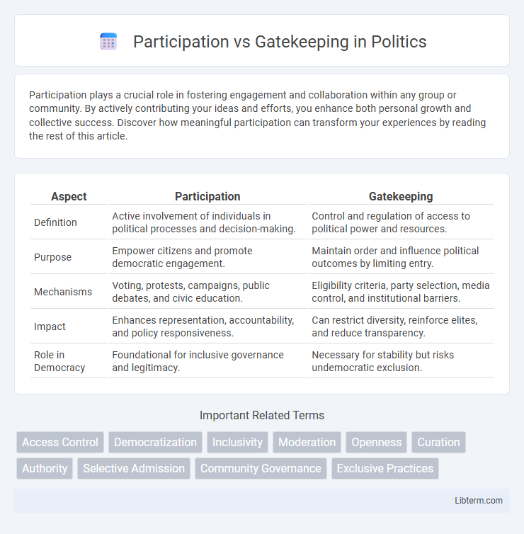 Gatekeeping vs Participation in Politics - What is The Difference?