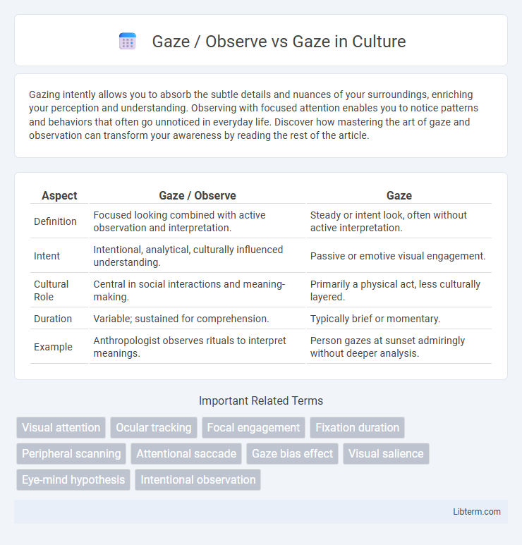 Gaze vs Gaze / Observe in Culture - What is The Difference?