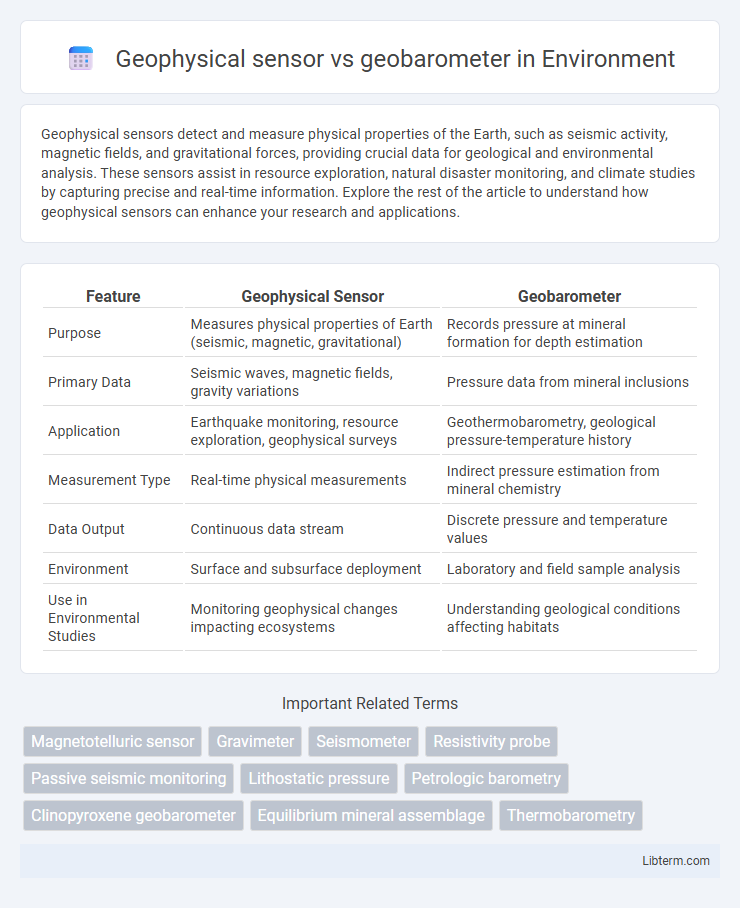 geobarometer vs Geophysical sensor in Environment - What is The Difference?