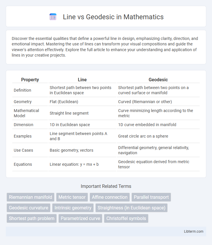 Geodesic vs Line in Mathematics - What is The Difference?