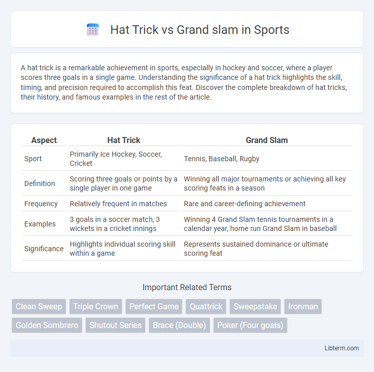 Grand slam vs Hat Trick in Sports - What is The Difference?