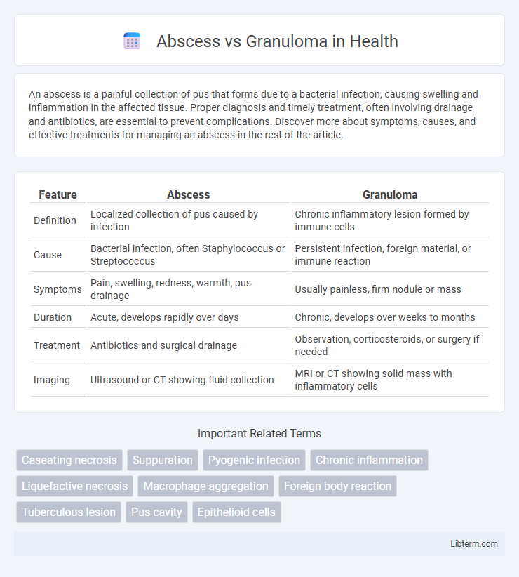 Granuloma vs Abscess in Health - What is The Difference?