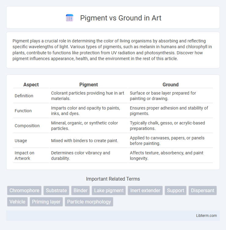 Ground vs Pigment in Art - What is The Difference?