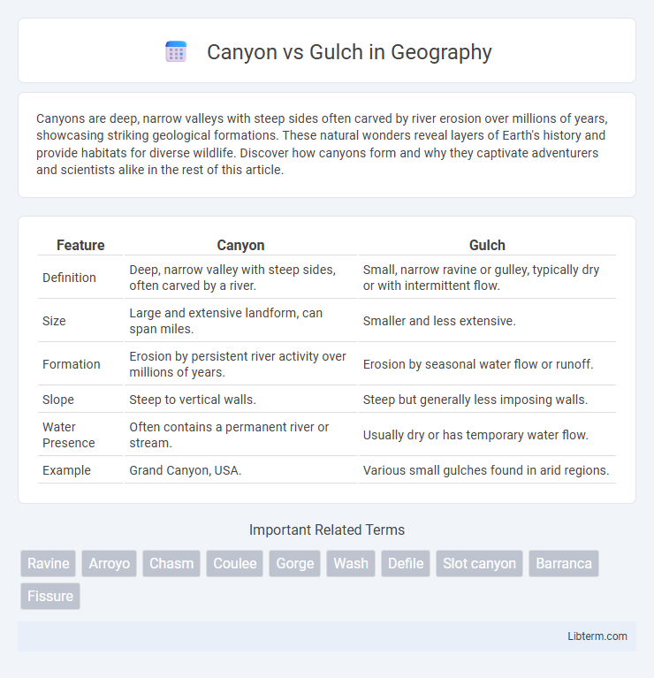 Gulch vs Canyon in Geography - What is The Difference?