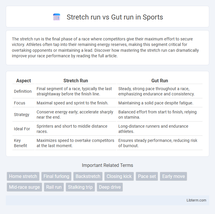 Gut run vs Stretch run in Sports - What is The Difference?