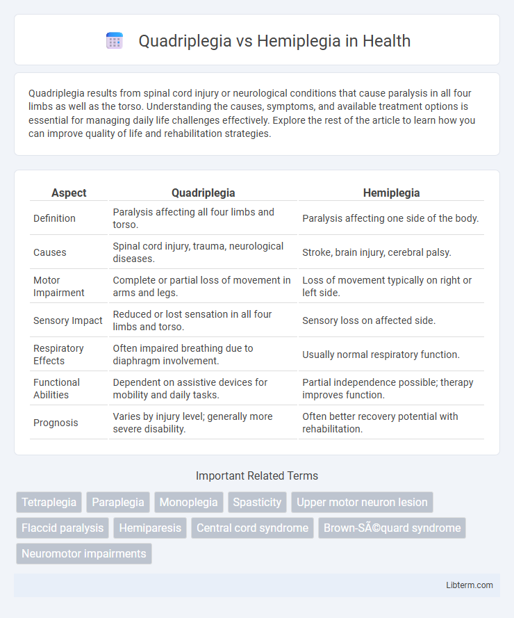 Hemiplegia vs Quadriplegia in Health - What is The Difference?