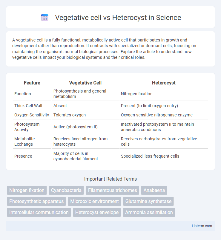 Heterocyst vs Vegetative cell in Science - What is The Difference?