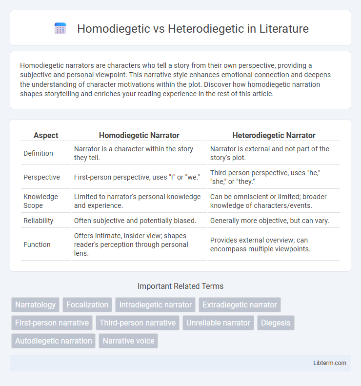 Heterodiegetic vs Homodiegetic in Literature - What is The Difference?