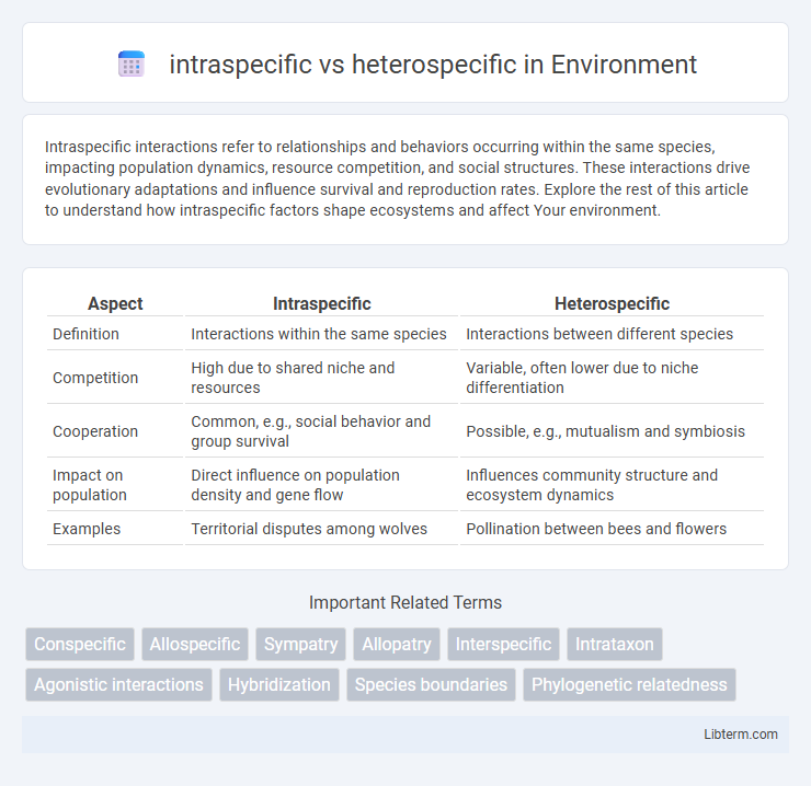 heterospecific vs intraspecific in Environment - What is The Difference?