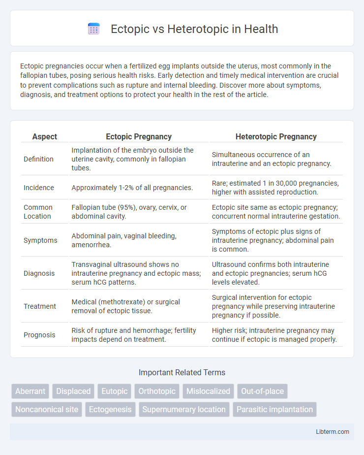 Heterotopic vs Ectopic in Health - What is The Difference?