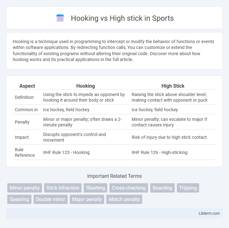 High stick vs Hooking in Sports - What is The Difference?