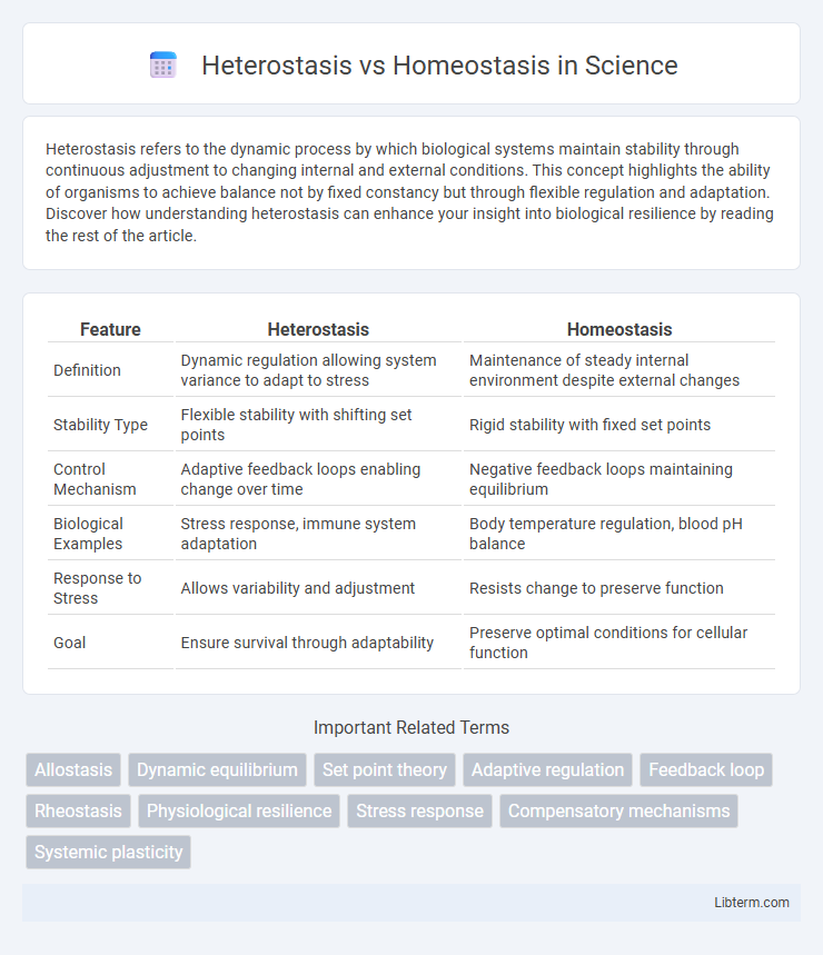 Homeostasis vs Heterostasis in Science - What is The Difference?