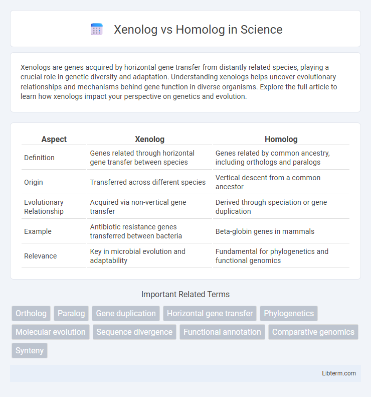 Homolog vs Xenolog in Science - What is The Difference?