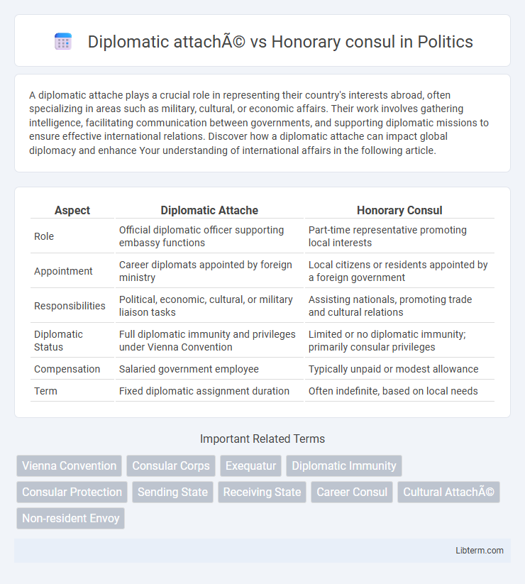 Honorary consul vs Diplomatic attaché in Politics - What is The Difference?