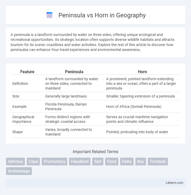 Horn vs Peninsula in Geography - What is The Difference?