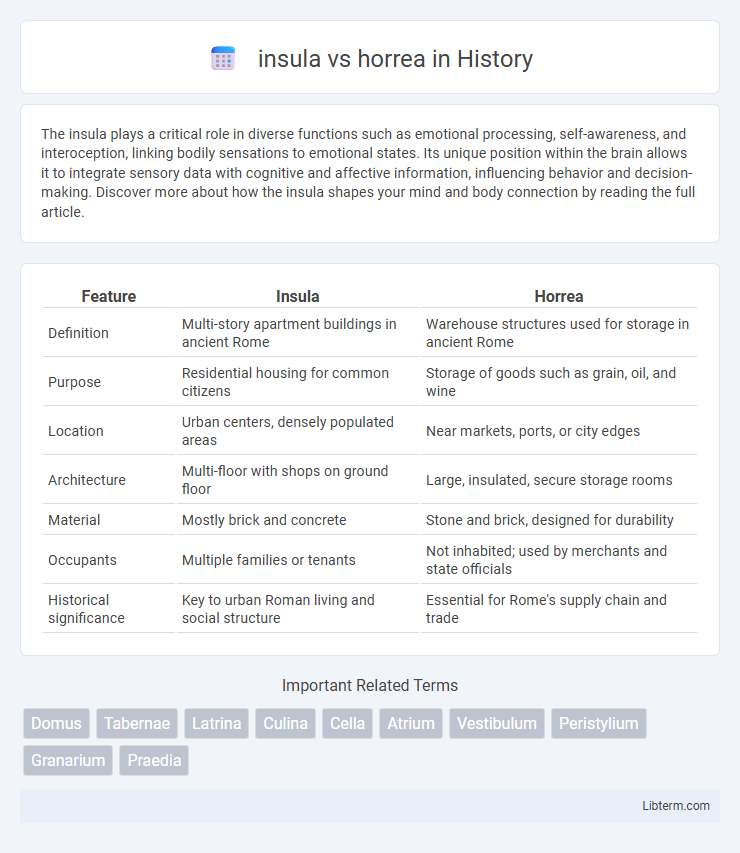 horrea vs insula in History - What is The Difference?