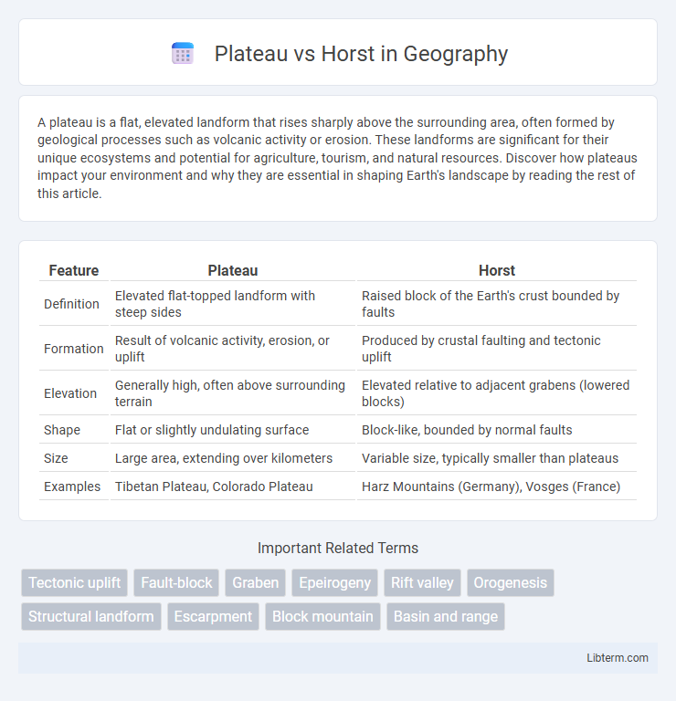 Horst vs Plateau in Geography - What is The Difference?