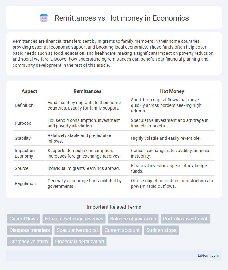 Hot money vs Remittances in Economics - What is The Difference?
