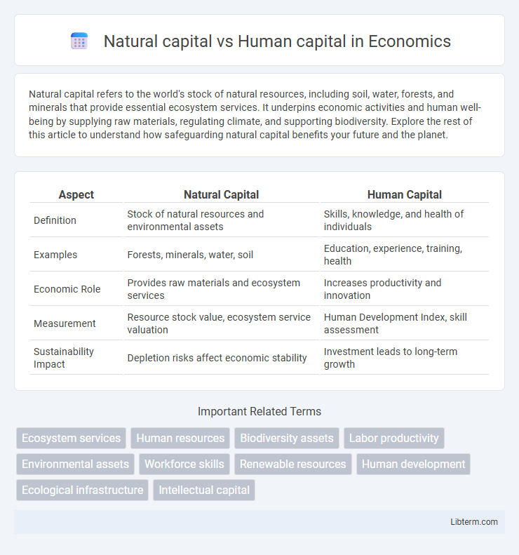 Human capital vs Natural capital in Economics - What is The Difference?