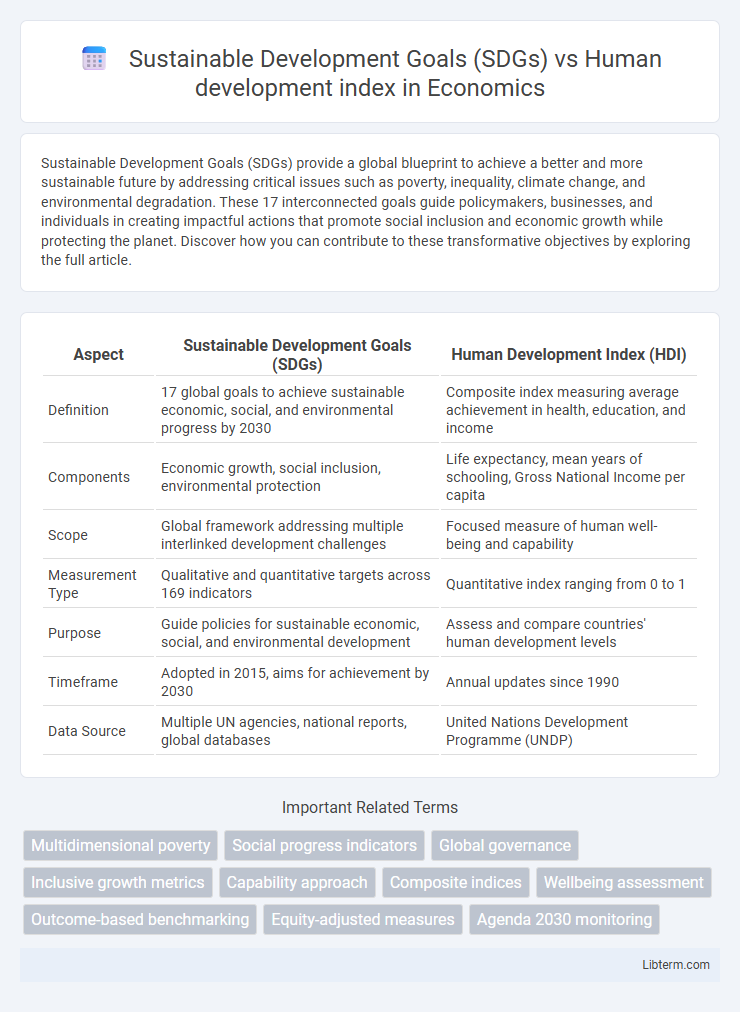 Human development index vs Sustainable Development Goals (SDGs) in Economics - What is The Difference?