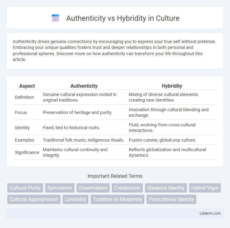 Hybridity vs Authenticity in Culture - What is The Difference?