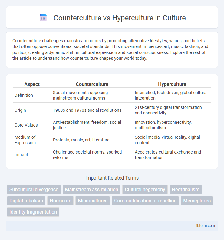 Hyperculture vs Counterculture in Culture - What is The Difference?