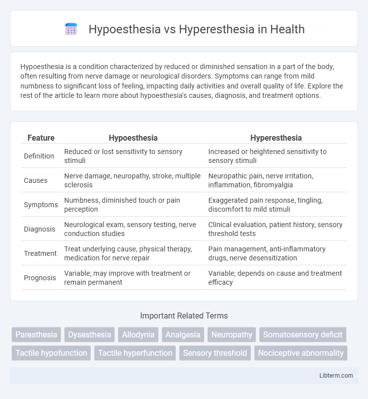 Hyperesthesia vs Hypoesthesia in Health - What is The Difference?