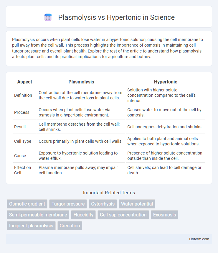 Hypertonic vs Plasmolysis in Science - What is The Difference?