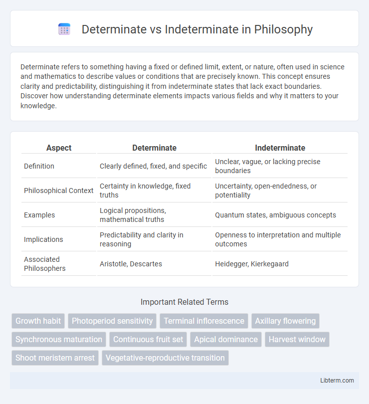 Indeterminate vs Determinate in Philosophy - What is The Difference?
