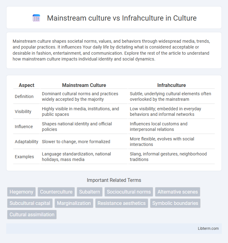 Infrahculture vs Mainstream culture in Culture - What is The Difference?