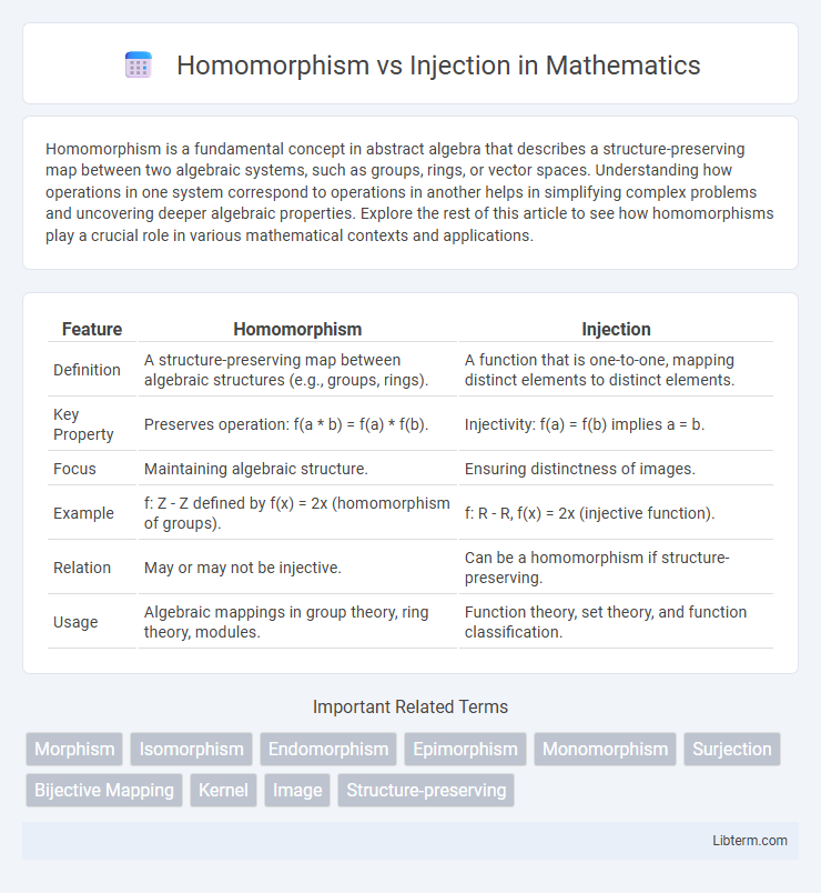 Injection vs Homomorphism in Mathematics - What is The Difference?