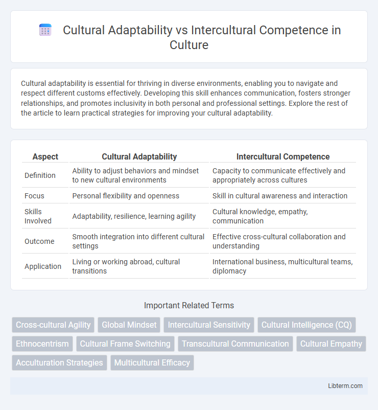 Intercultural Competence vs Cultural Adaptability in Culture - What is The Difference?