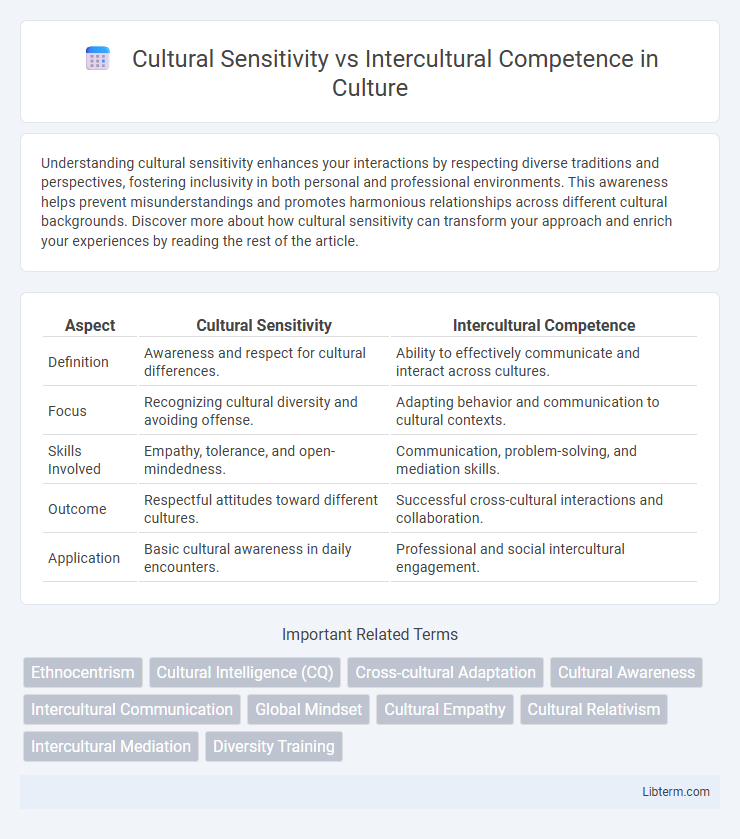 Intercultural Competence vs Cultural Sensitivity in Culture - What is The Difference?
