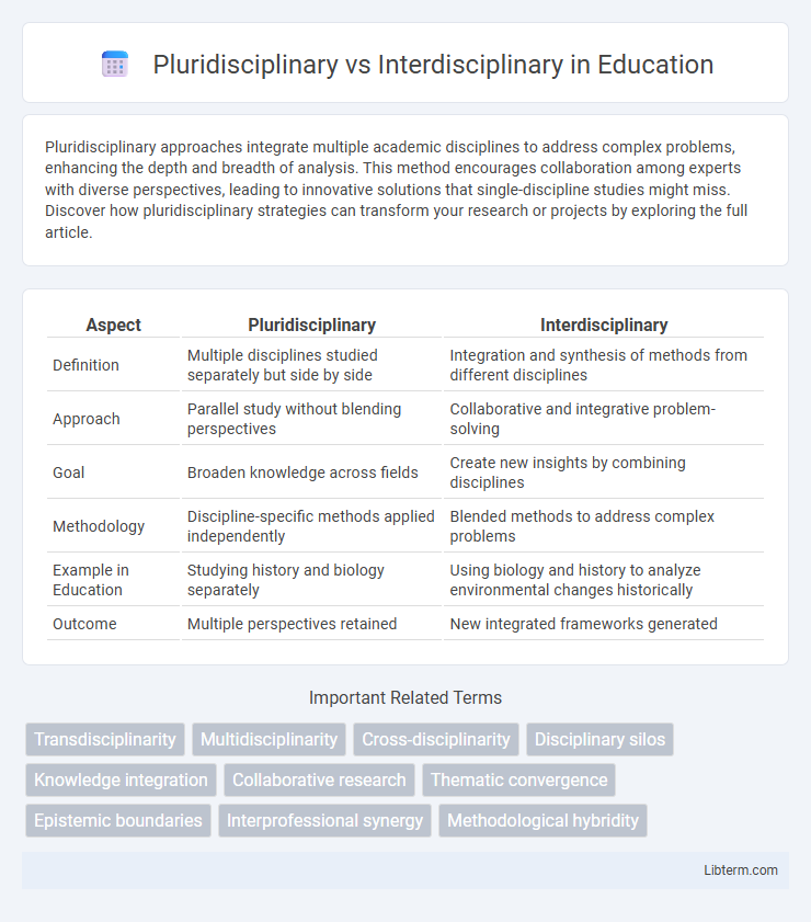 Interdisciplinary vs Pluridisciplinary in Education - What is The Difference?