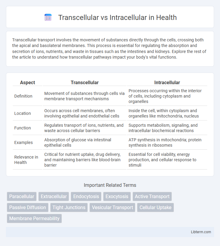 Intracellular vs Transcellular in Health - What is The Difference?