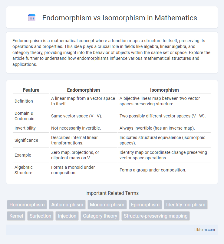 Isomorphism vs Endomorphism in Mathematics - What is The Difference?